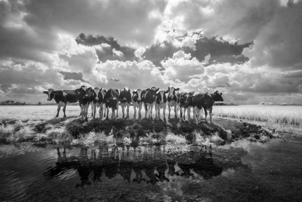 Photograph Gert Van Den Bosch We Come To You Soon Ir on One Eyeland